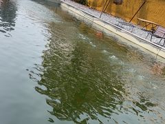 -DGE季风钓虾营地·团建·聚会