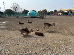 -苏州太湖西山岛开心农场