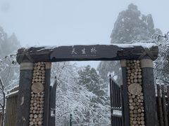 -龙苍沟森林公园