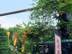 -杭州宋城