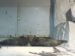 -大连圣亚海洋世界