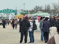 -荷兰花海