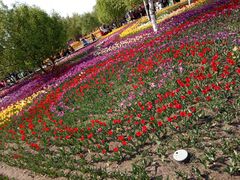 -长春公园(普阳街道)