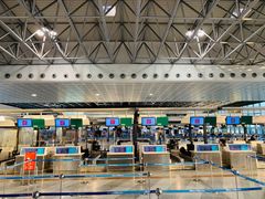 -米兰马尔彭萨国际机场