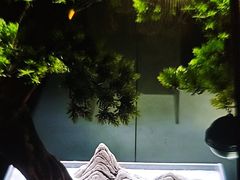 -汉仁宫·古法按摩·足道·SPA(沙井店)