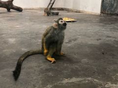 -西安秦岭野生动物园