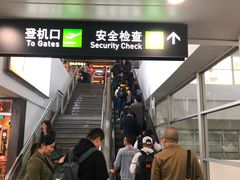 -厦门高崎国际机场-T3航站楼