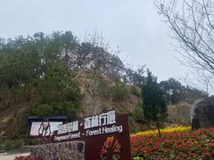 -广州市流溪河国家森林公园