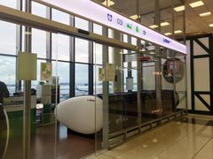 -谢列梅捷沃国际机场
