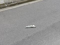 -环球港-停车场