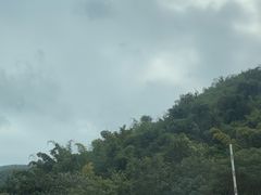 -西双版纳原始森林公园
