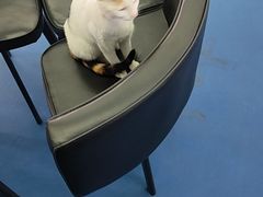 -尚剑击剑中心(铁山路馆)