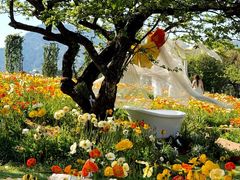 -名花谷生态庄园