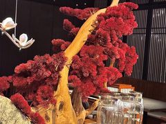 -唐猫庭院·千年陕菜(赛格国际购物中心店)