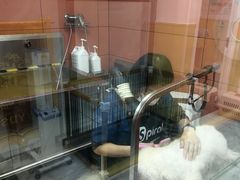 -瑞派·爱瑞可动物医院·口腔专科(广华新城分院)