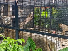 -海南热带野生动植物园