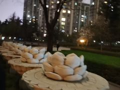 -木塔寺遗址生态公园