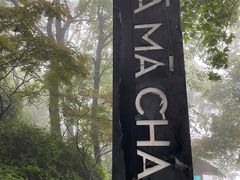 -MAMACHA妈妈茶(岳麓山店)