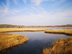 -塞罕坝国家级自然保护区