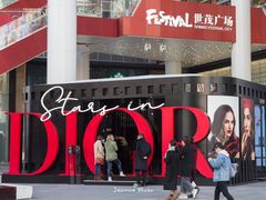 -Dior迪奥(上海世茂广场店)