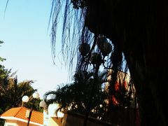 -东风公园