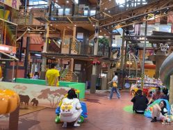 -卡通尼·Safari非洲探索乐园·生日会(金桥国际商业广场店)