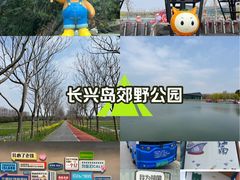 -上海长兴岛郊野公园