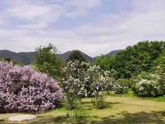 -国家植物园南园