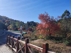 -玉渡山自然风景区