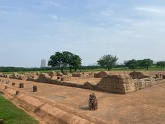 -盘龙城国家考古遗址公园