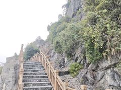 -南宁花花大世界景区