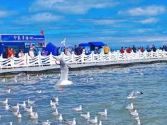 -青海湖国家重点风景名胜区