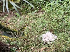 -晓港公园