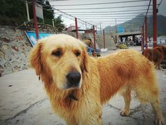 -西涌国际滨海旅游区