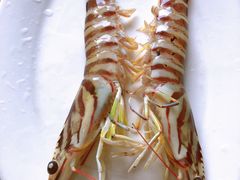 -凯华海鲜火锅·传承三十六年