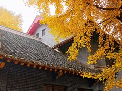 -四川大学(华西校区)