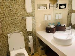 -国家会议中心大酒店