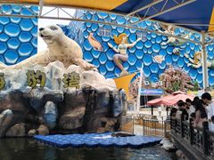 -华夏文旅海洋公园