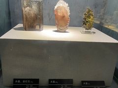 -河南自然博物馆