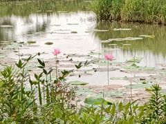 -东钱湖旅游度假区