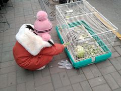 -大象厨房(重庆道店)