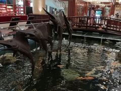 -大天然酒店(军民路店)