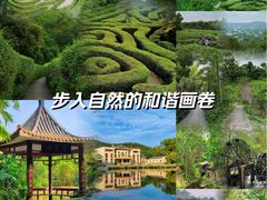 -大屏嶂森林公园