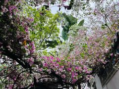 -深圳国际园林花卉博览园