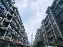 -紫峰大厦