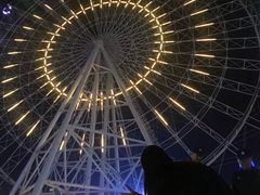 -琴岛之星摩天轮