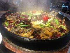 -老板恋上鱼(恒隆广场店)