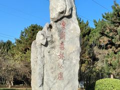 -云岗森林公园