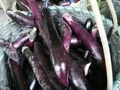 -武汉世外桃源农庄