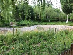 -北极寺公园